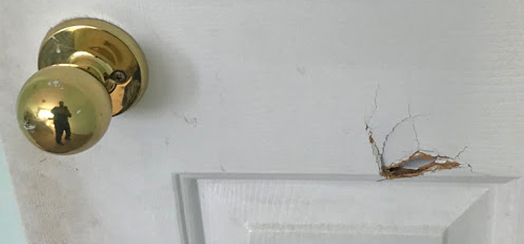 interior door hole repair Upland